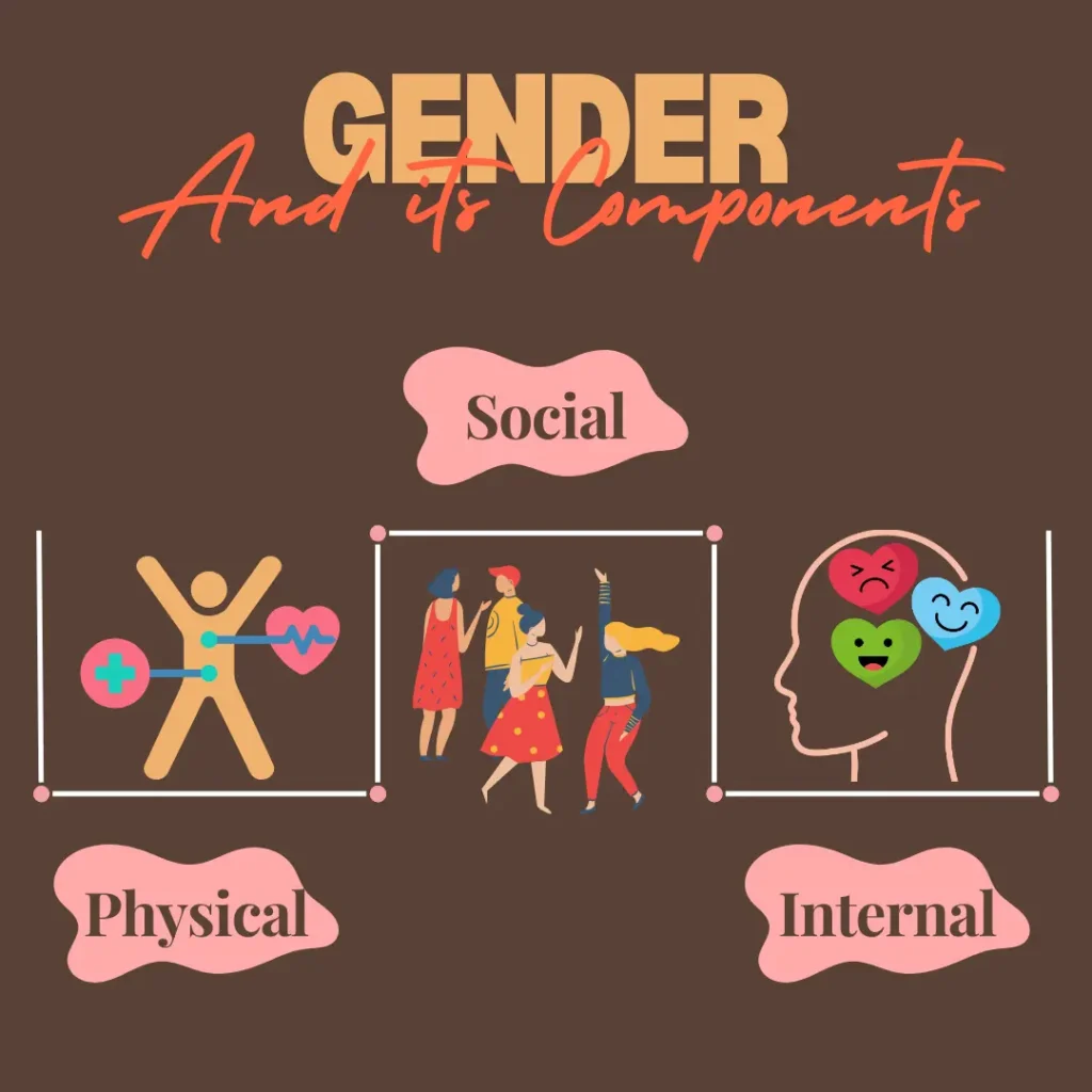 Gender and its components - physical, social and internal